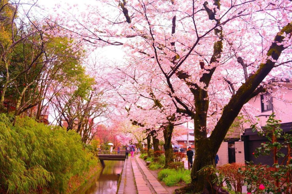 Legasta Gion Shirakawa *